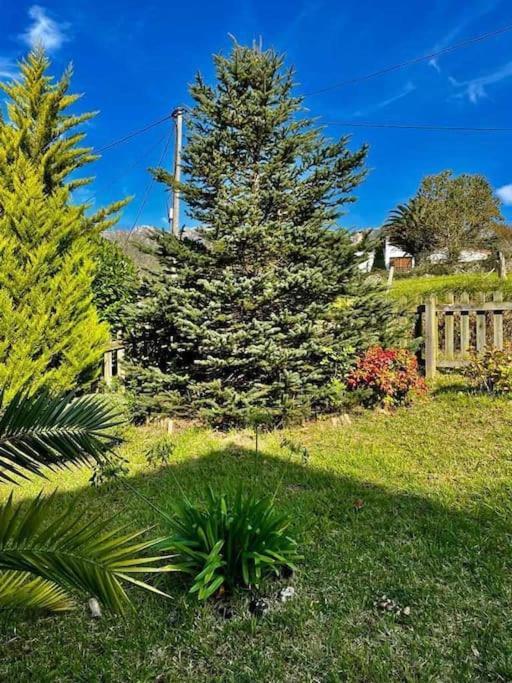 La Coqueta Del Sueve Villa Arriondas Exterior foto
