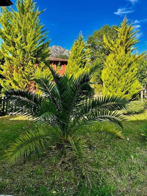 La Coqueta Del Sueve Villa Arriondas Exterior foto